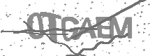 visual captcha